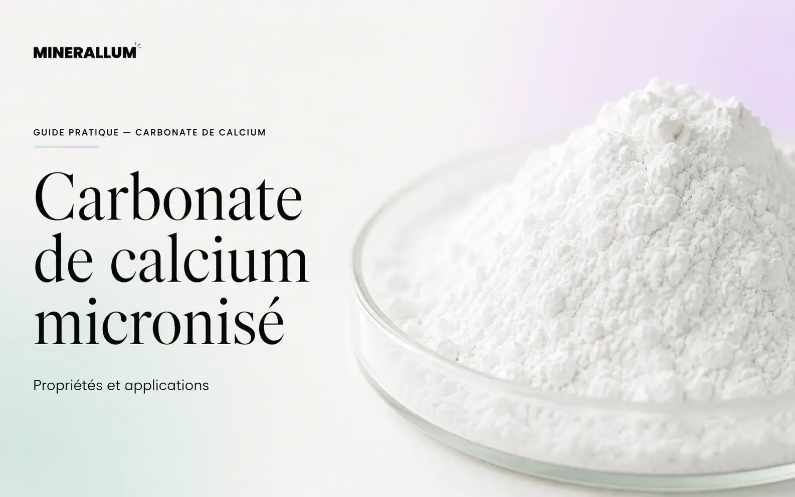 Carbonate de calcium micronisé sous forme de poudre